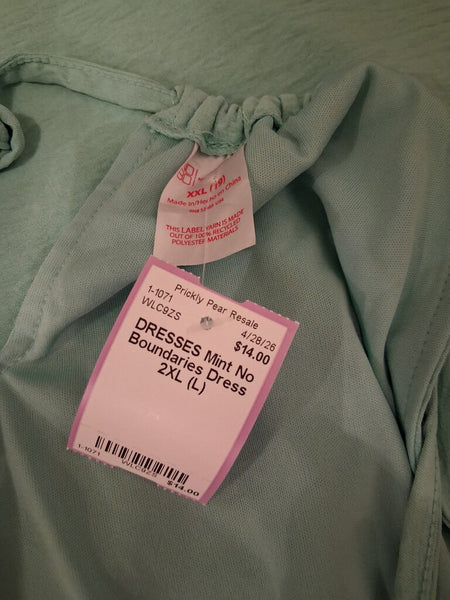 Mint No Boundaries Dress 2XL (L)