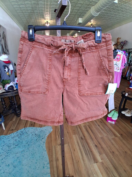 BKE Rust Shorts Size 27