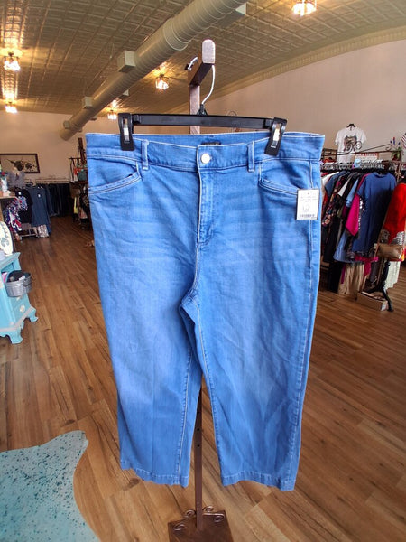 Ann Taylor Capri Jeans Size 12