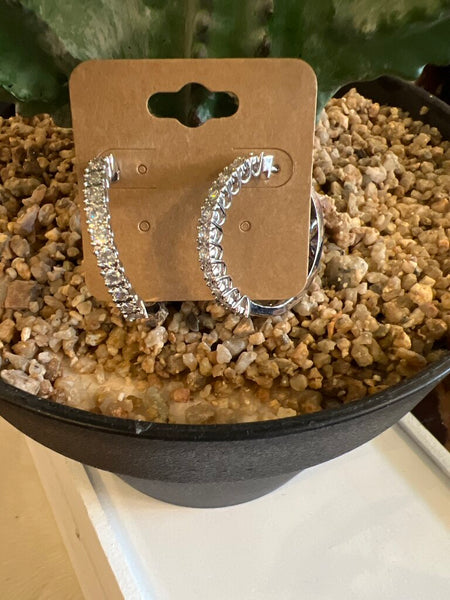 Circles of Ice Earrings