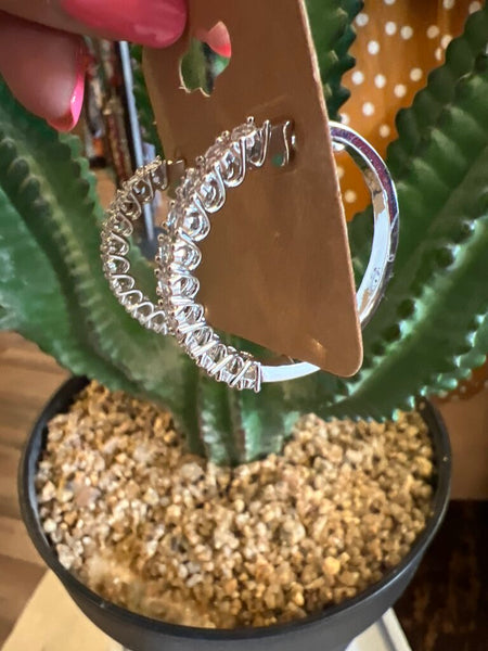 Circles of Ice Earrings