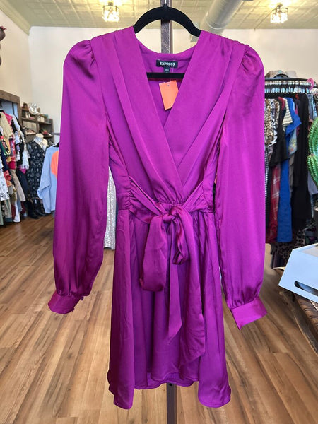 Express Fuchsia Dress Size XS