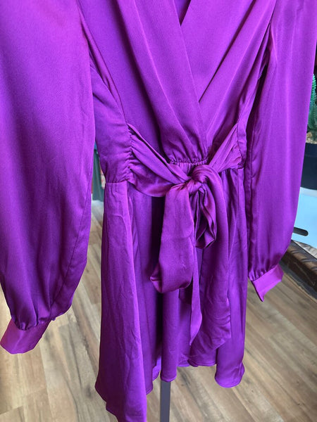 Express Fuchsia Dress Size XS