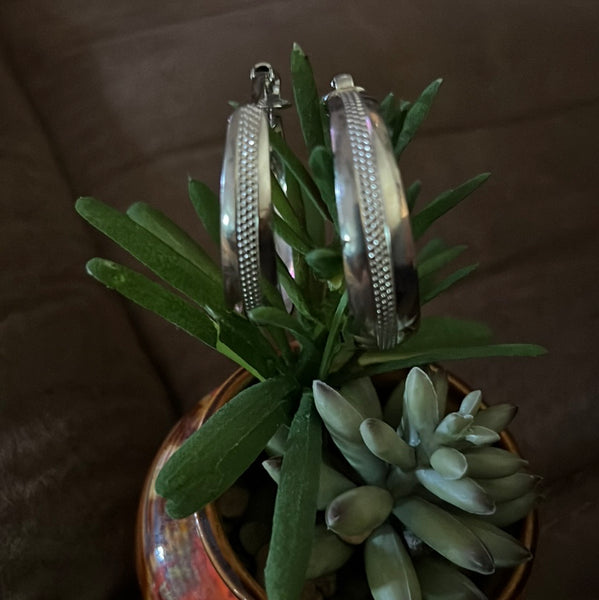 Silver Rope Hoops