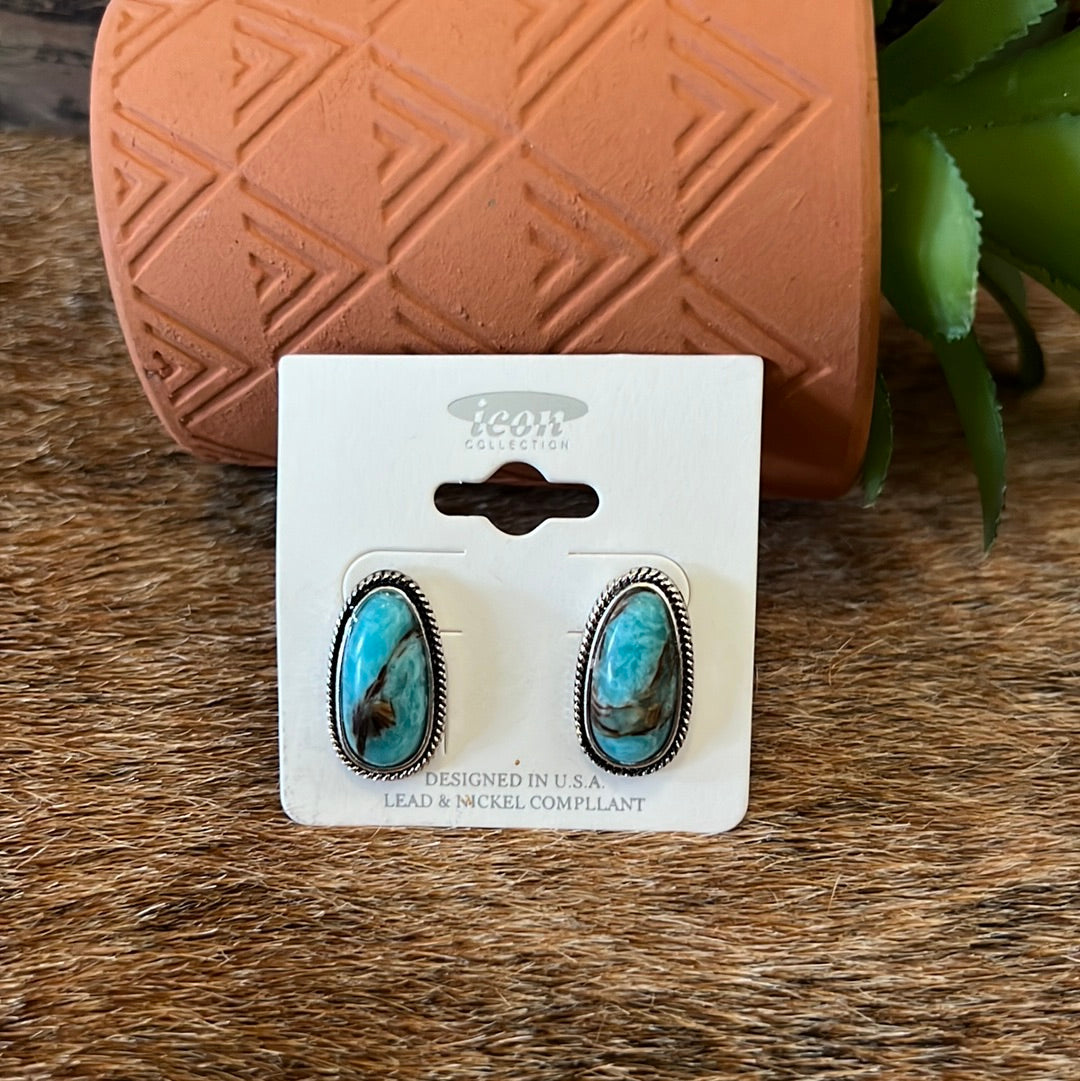 Turquoise Drop Studs NWT