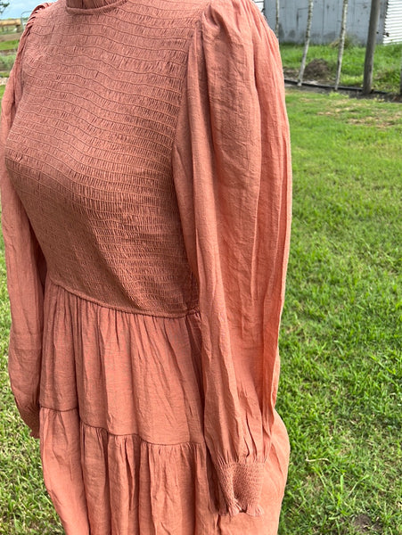 Fall Dress Size L NWT