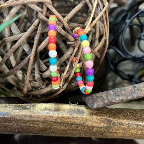 Rainbow Hoops NWT