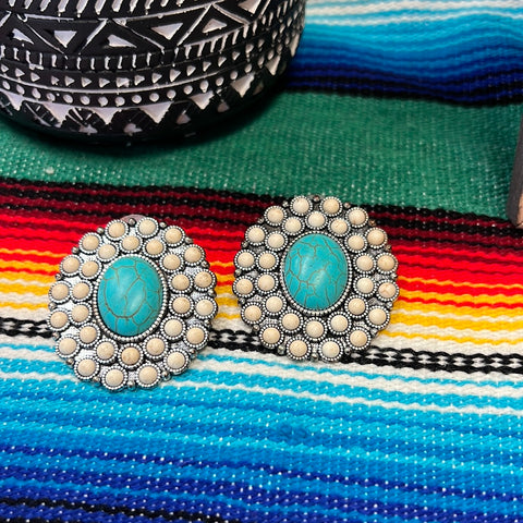 Turquoise/Buffalo Inspired Earrings