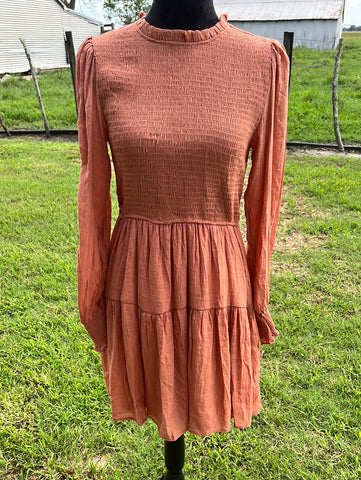 Fall Dress Size L NWT