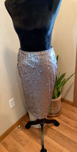 Sequin Skirt Size 4