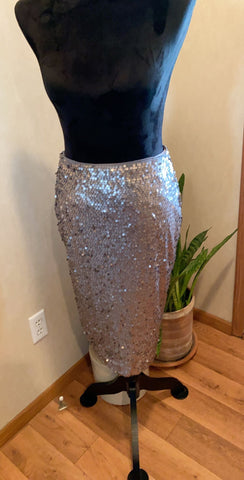 Sequin Skirt Size 4