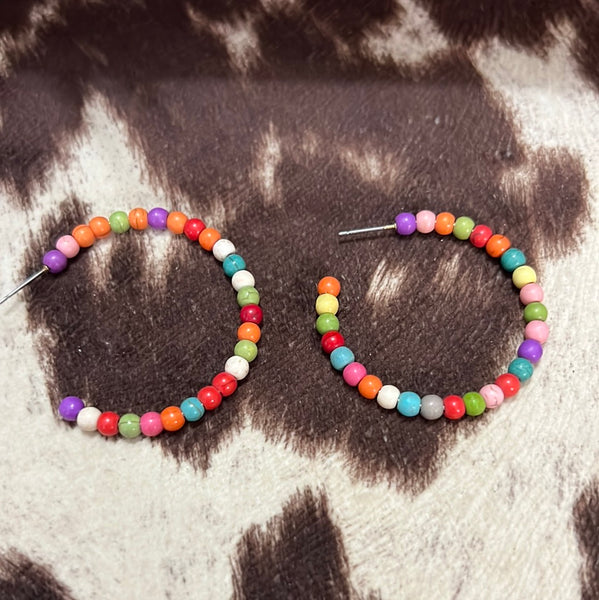 Rainbow Hoops NWT